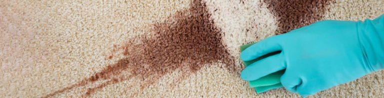 Carpet stain cleaning