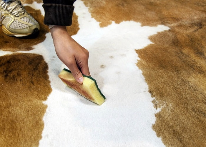 روش شستشوی فرش پوست