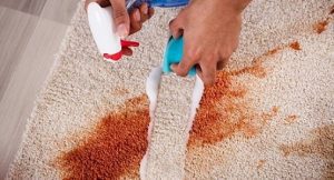 اسپری لکه بر فرش و مبل چه کاربردی دارد؟