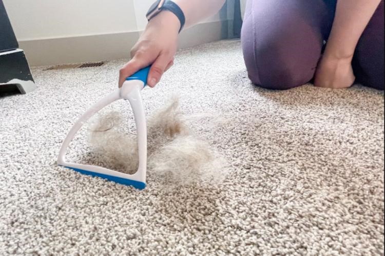 روش جمع کردن مو از روی فرش و موکت