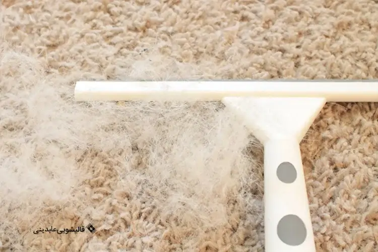 بهترین راهکارهای پاک کردن موی سگ و گربه از فرش