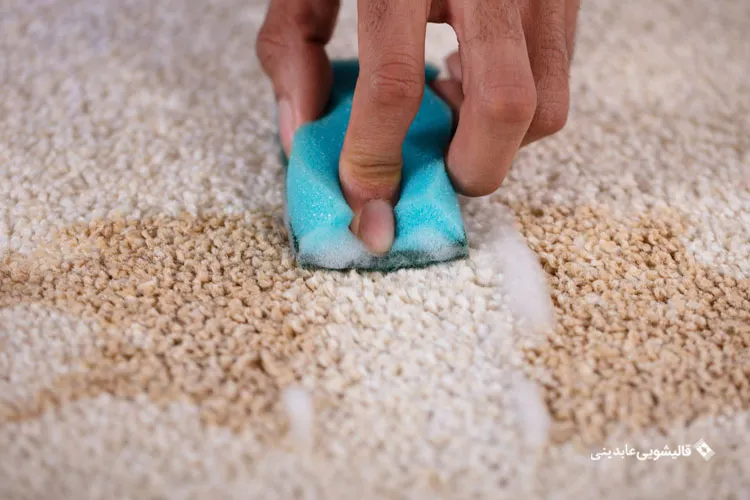 لکه زدایی فرشهای دستبافت و ماشینی